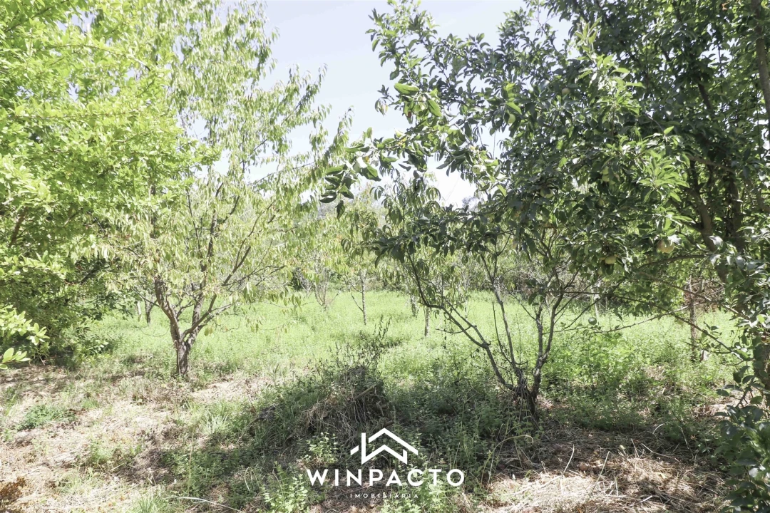 Terreno para Venda em Mangualde, Mesquitela e Cunha Alta Foto 3