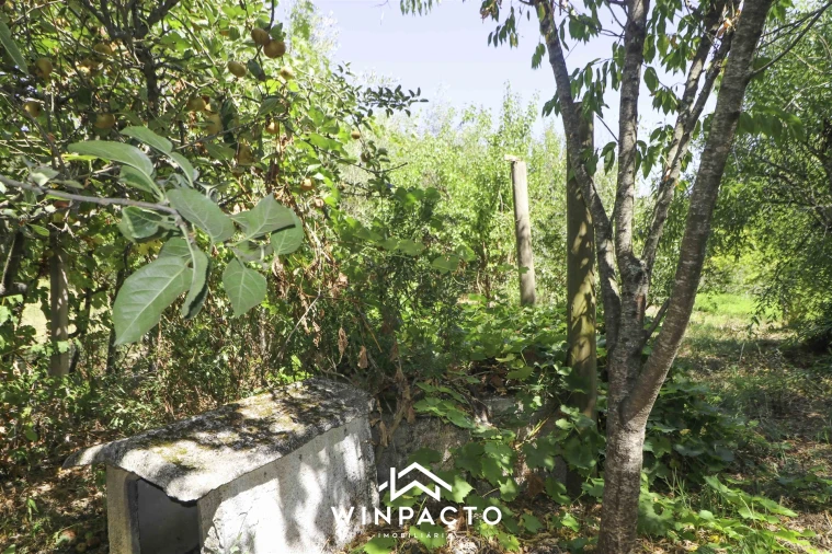 Terreno para Venda em Mangualde, Mesquitela e Cunha Alta Foto 11