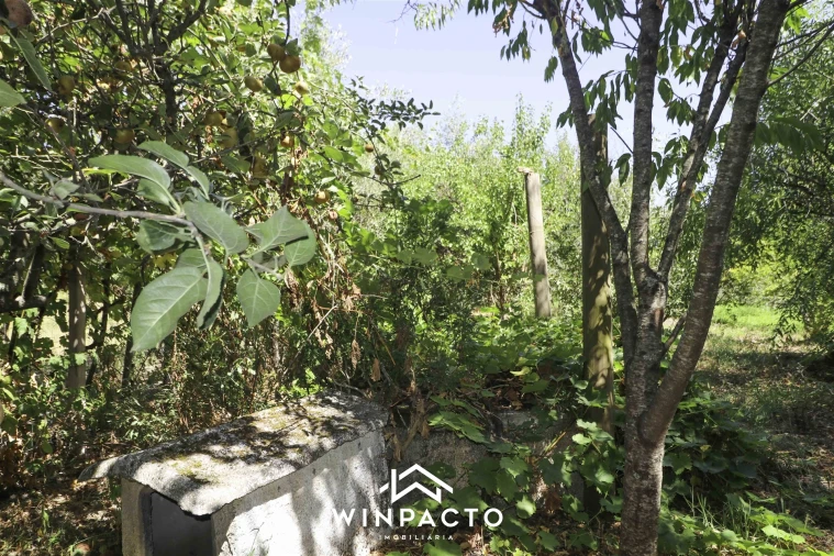 Terreno para Venda em Mangualde, Mesquitela e Cunha Alta Foto 12