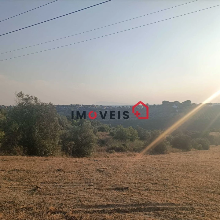 Terreno para Venda em Moçarria Foto 7