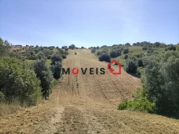 Terreno para Venda em Moçarria