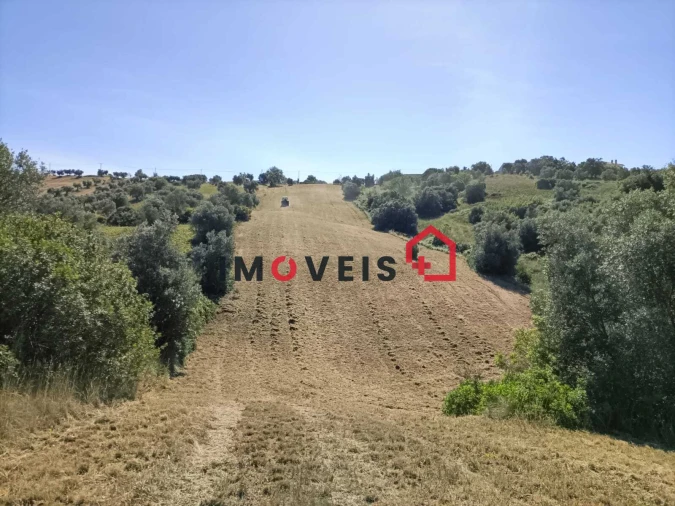 Terreno para Venda em Moçarria Foto 4
