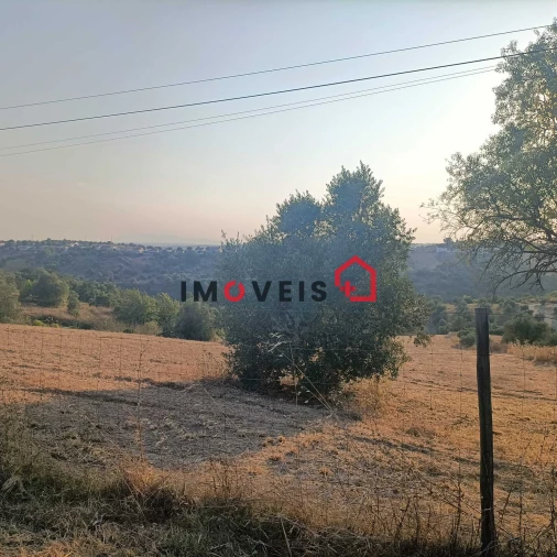 Terreno para Venda em Moçarria Foto 8