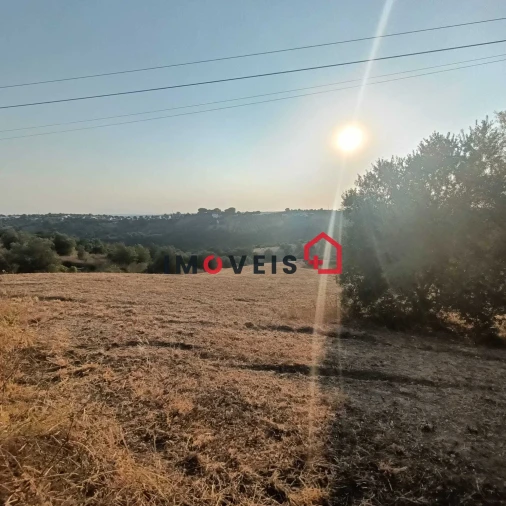 Terreno para Venda em Moçarria Foto 6
