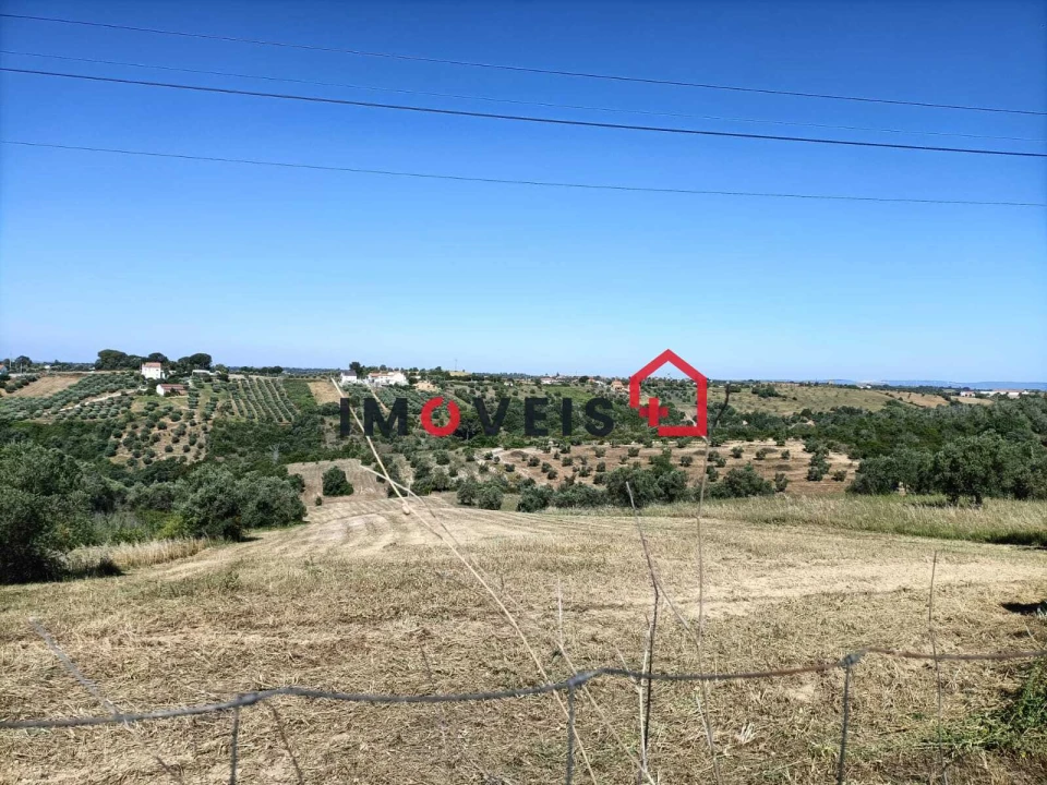 Terreno para Venda em Moçarria Foto 3