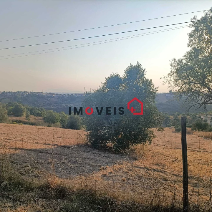Terreno para Venda em Moçarria Foto 8