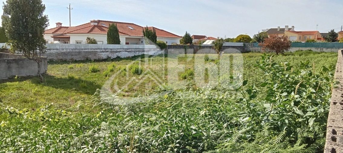 Terreno para Venda em Cortegaça Foto 6