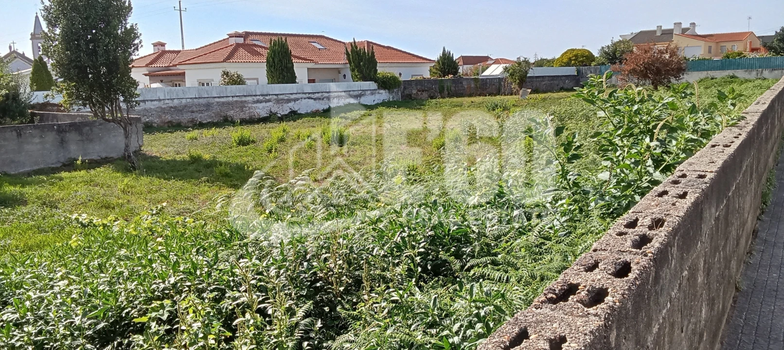Terreno para Venda em Cortegaça Foto 3