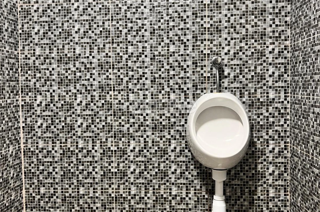 Negócio para Trespasse em Paranhos Foto 15