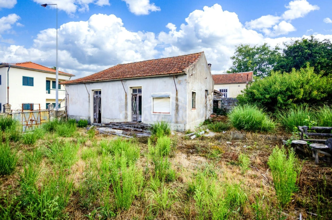 Terreno para Venda em Madalena Foto 3