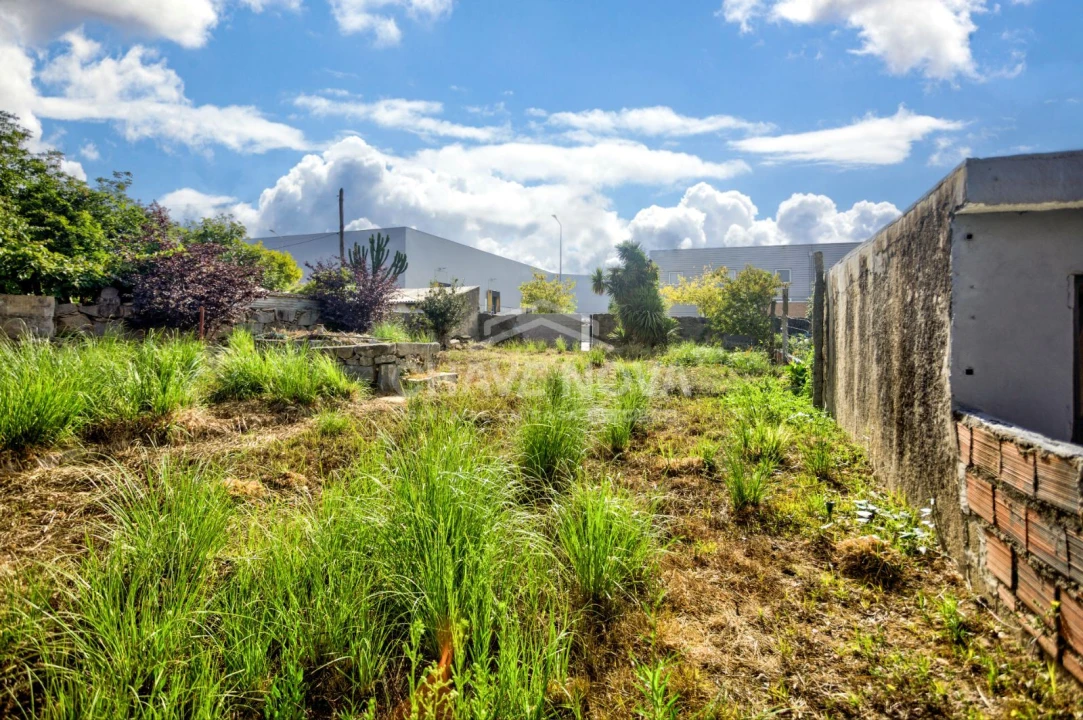 Terreno para Venda em Madalena Foto 6