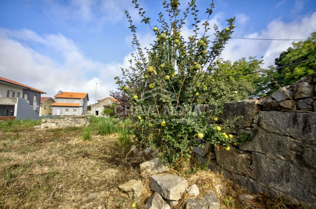 Terreno para Venda em Madalena Foto 9