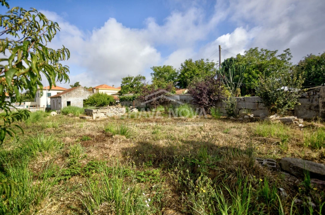 Terreno para Venda em Madalena Foto 14