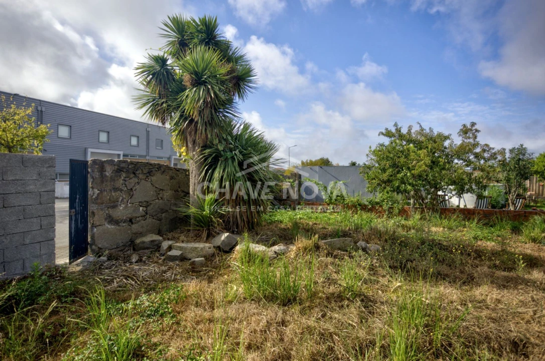 Terreno para Venda em Madalena Foto 19