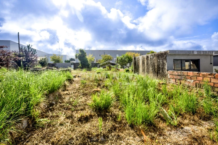 Terreno para Venda em Madalena Foto 5