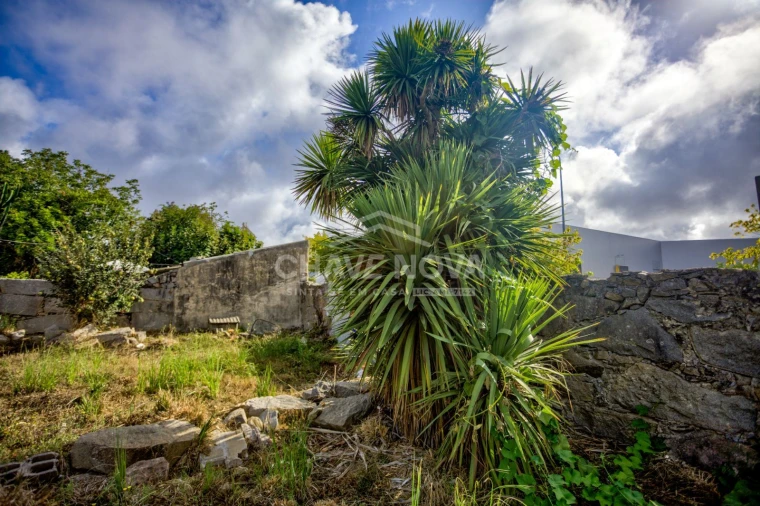 Terreno para Venda em Madalena Foto 12
