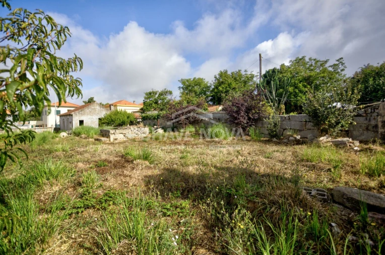 Terreno para Venda em Madalena Foto 14