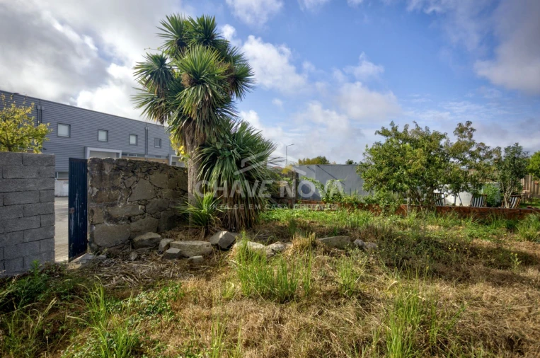 Terreno para Venda em Madalena Foto 19
