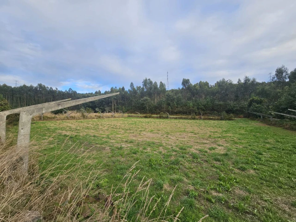 Moradia T4 para Venda em Vila Cova e Feitos Foto 5