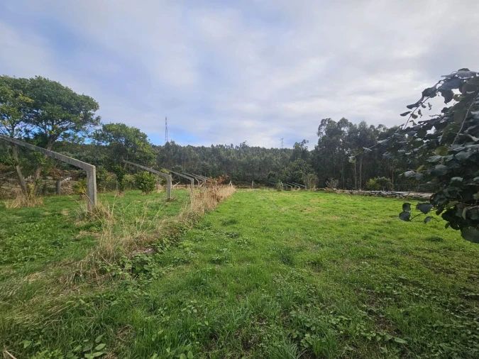 Moradia T4 para Venda em Vila Cova e Feitos Foto 6