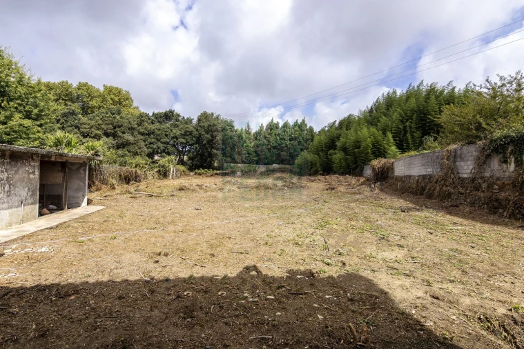 Moradia T3 para Venda em Santa Maria de Lamas Foto 3