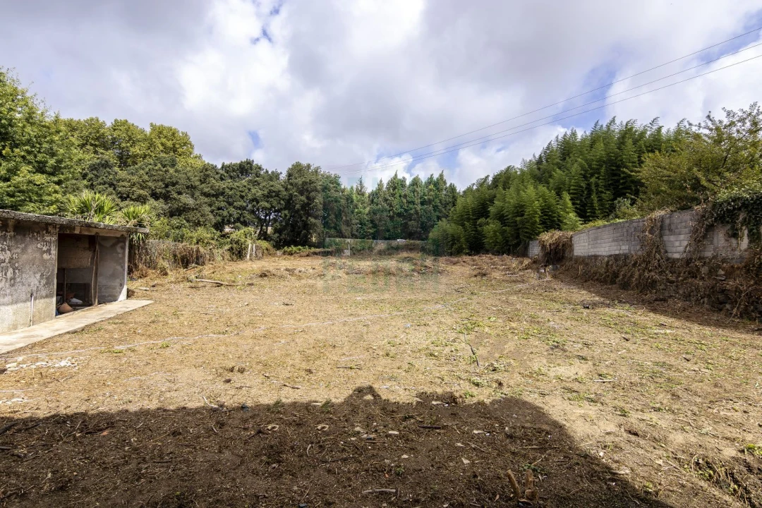 Moradia T3 para Venda em Santa Maria de Lamas Foto 3