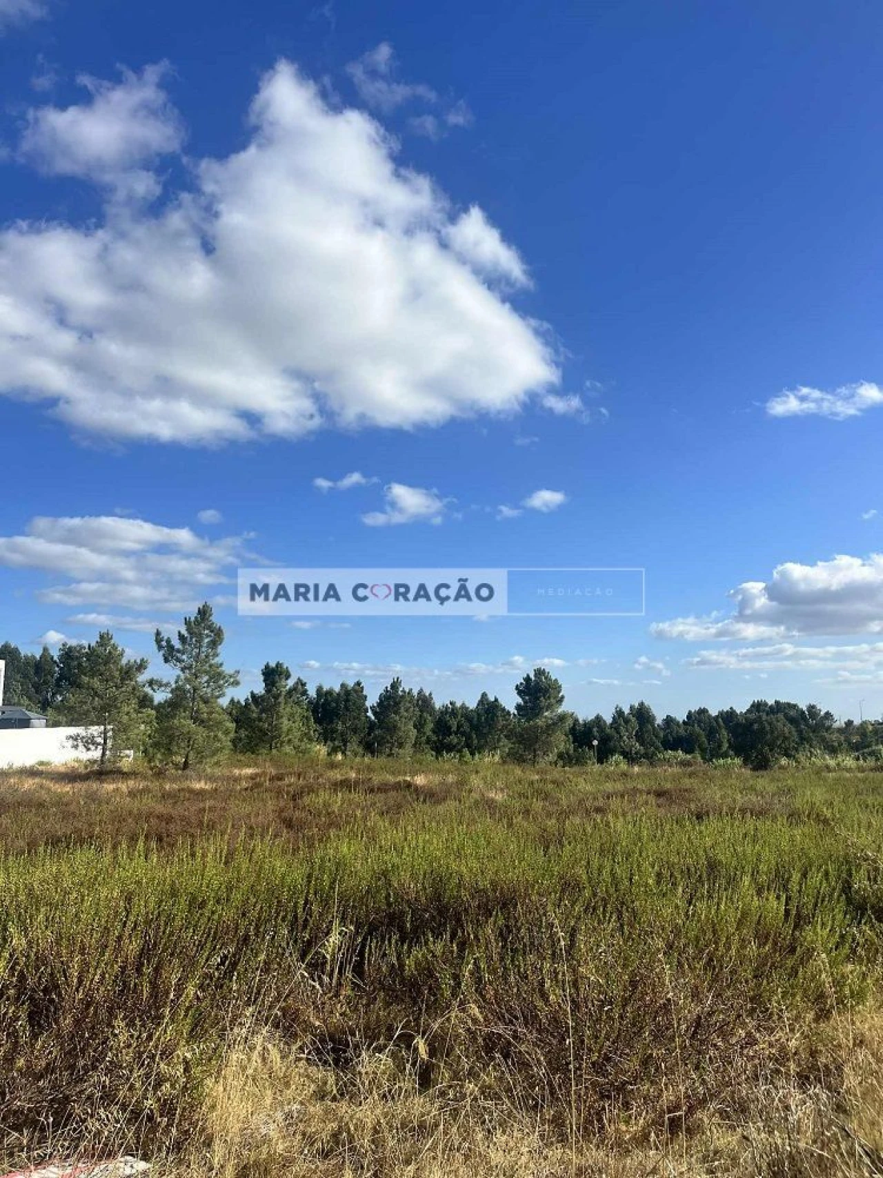 Terreno para Venda em Azambuja Foto 1