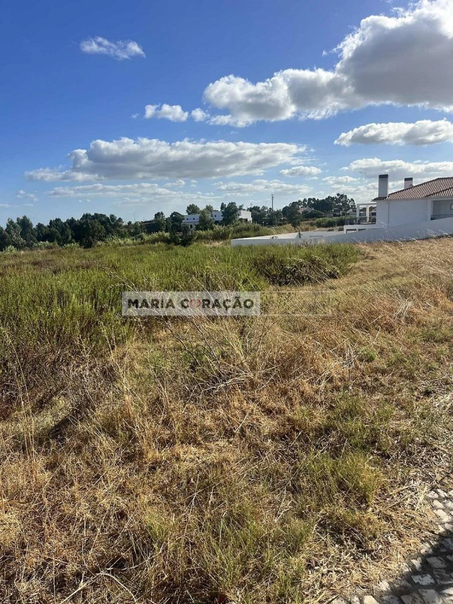 Terreno para Venda em Azambuja Foto 4