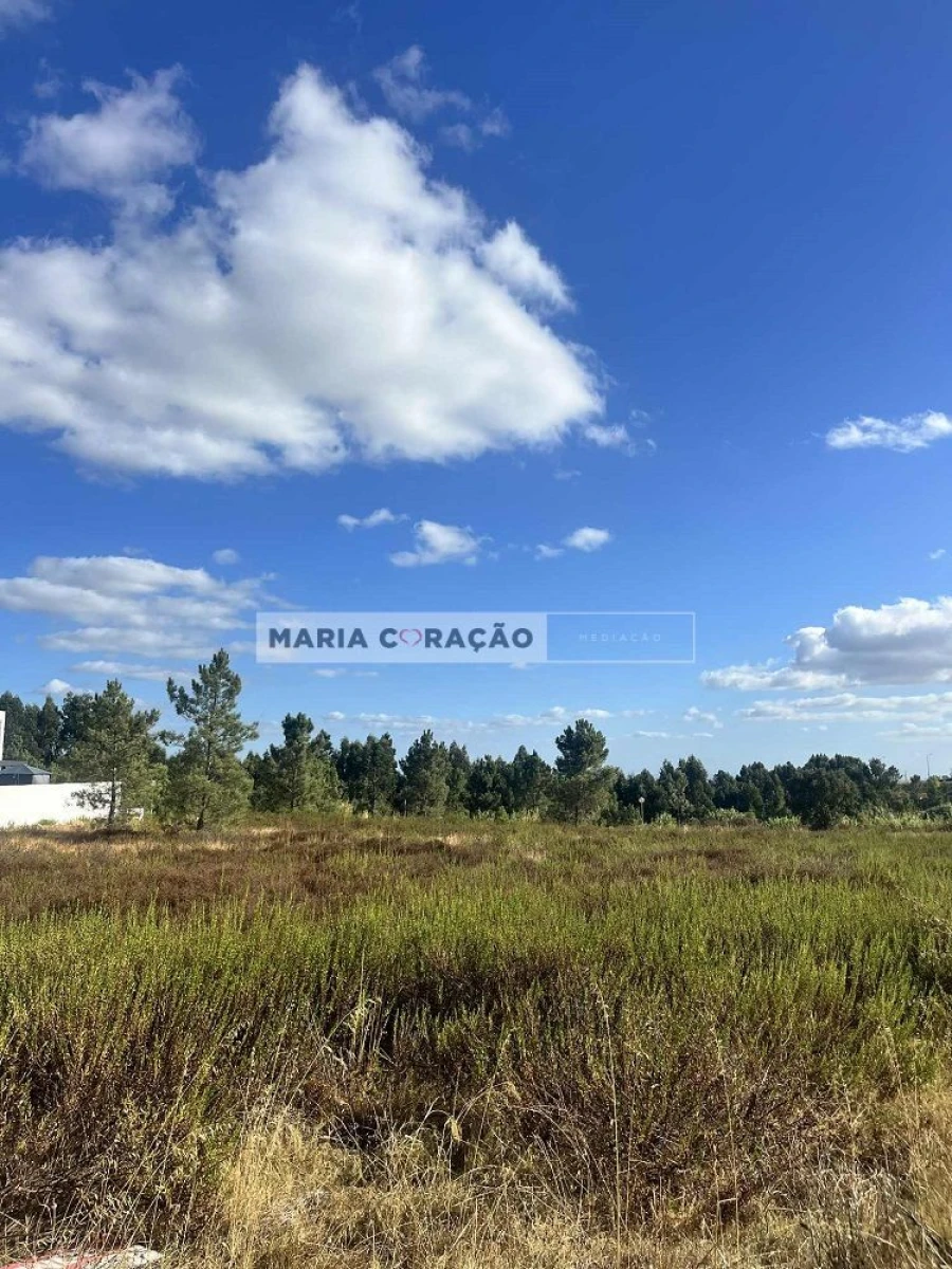 Terreno para Venda em Azambuja