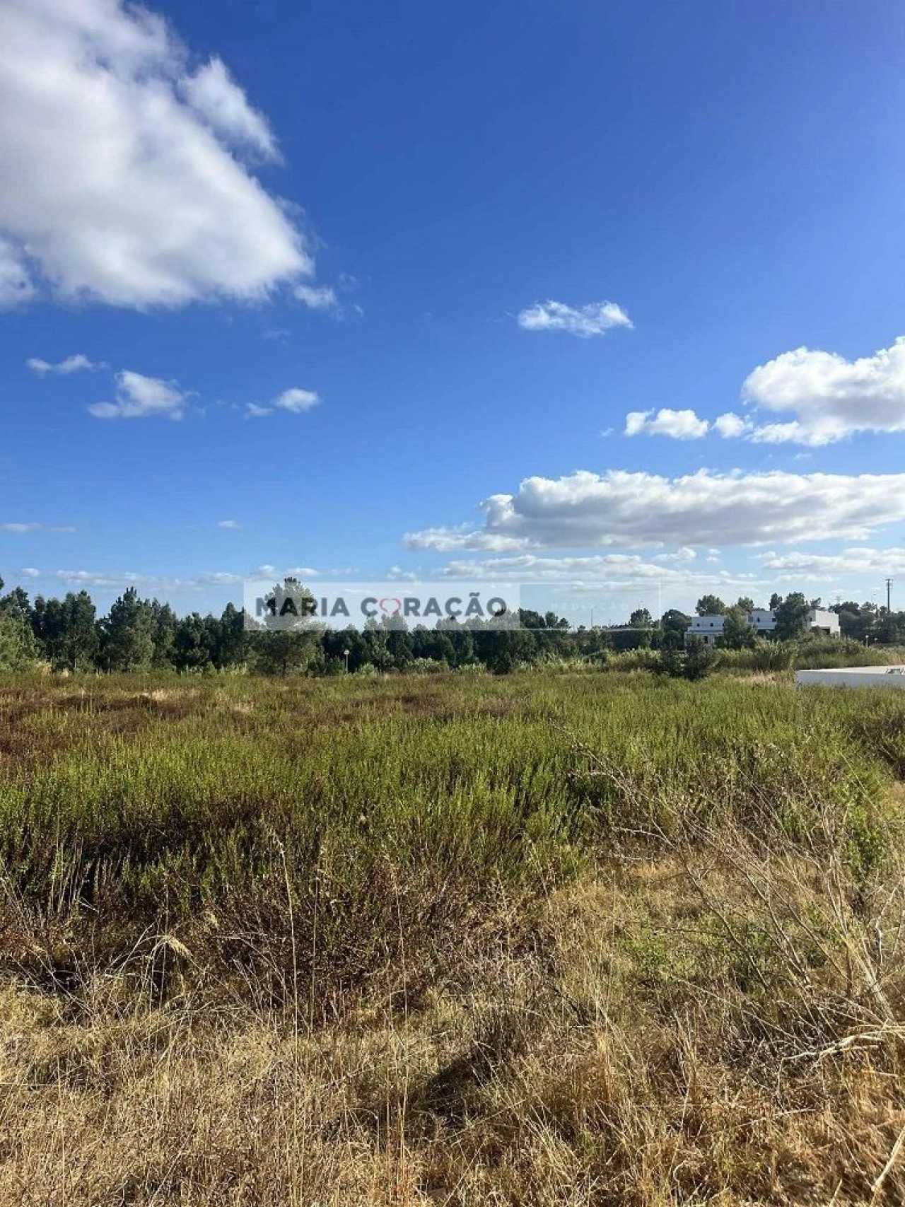 Terreno para Venda em Azambuja Foto 2