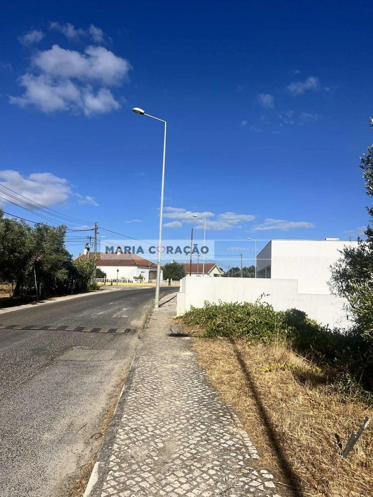 Terreno para Venda em Azambuja Foto 3