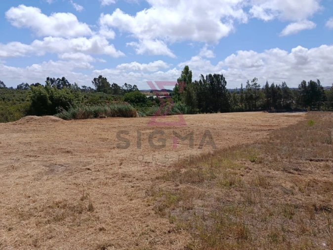 Terreno para Venda em Carvalhal Foto 4