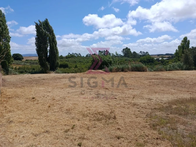 Terreno para Venda em Carvalhal Foto 3