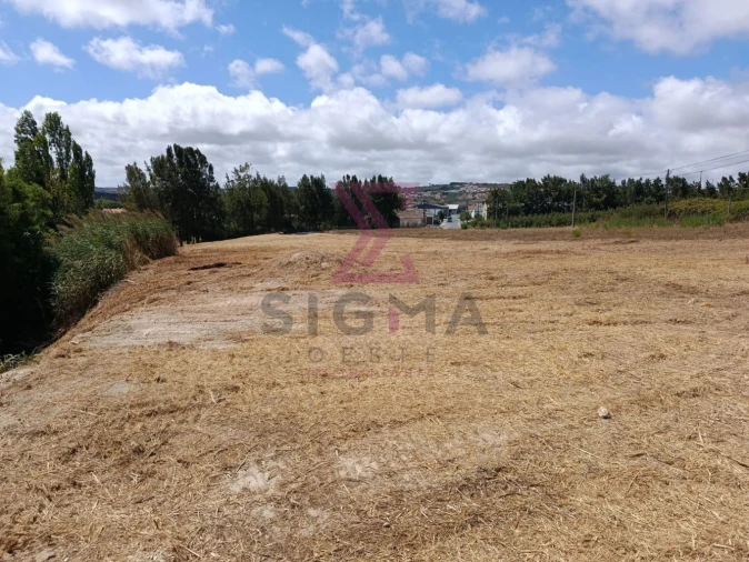 Terreno para Venda em Carvalhal