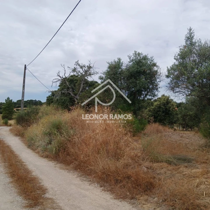 Terreno para Venda em Escalos de Baixo e Mata Foto 5