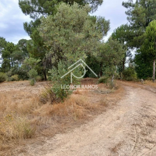 Terreno para Venda em Escalos de Baixo e Mata Foto 6