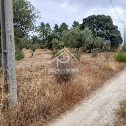 Terreno para Venda em Escalos de Baixo e Mata Foto 4