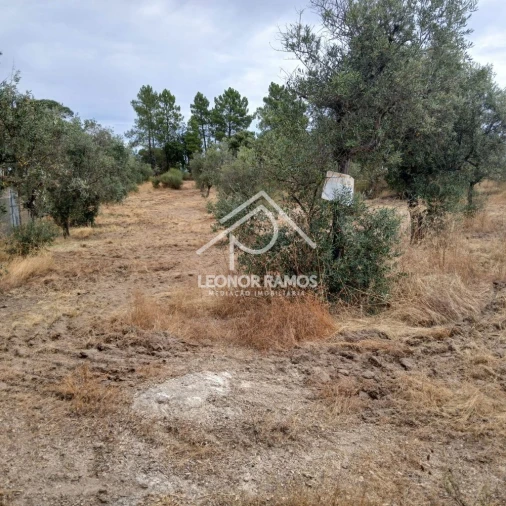 Terreno para Venda em Escalos de Baixo e Mata