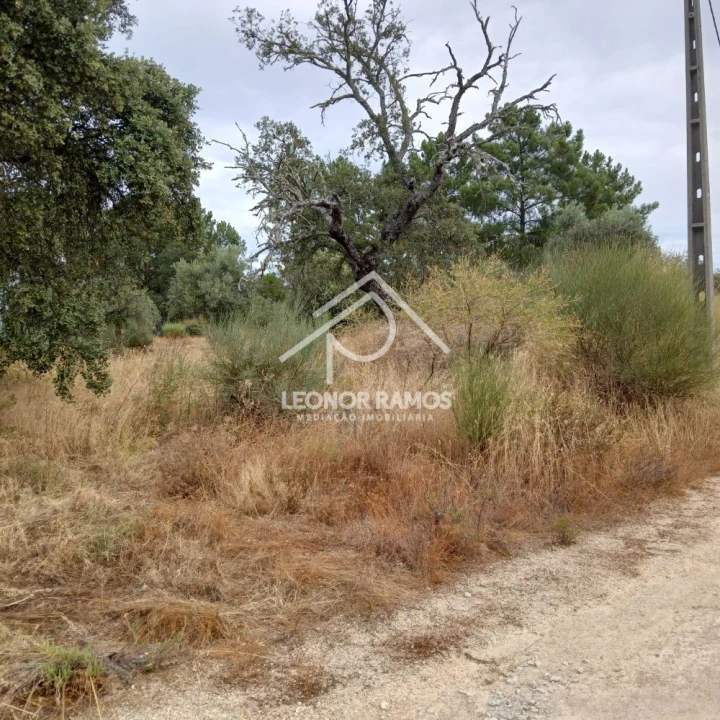 Terreno para Venda em Escalos de Baixo e Mata Foto 3