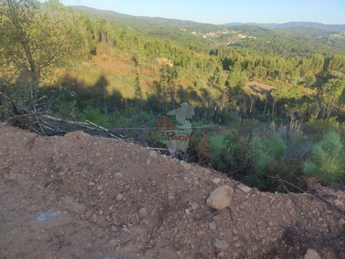 Terreno para Venda em Sertã Foto 3