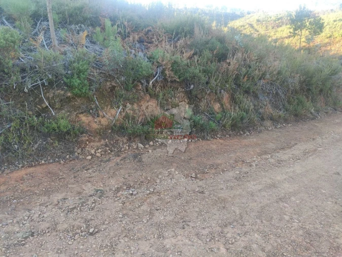 Terreno para Venda em Sertã Foto 10