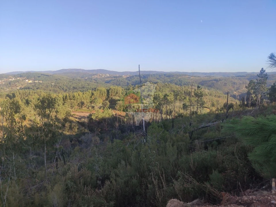Terreno para Venda em Sertã Foto 8