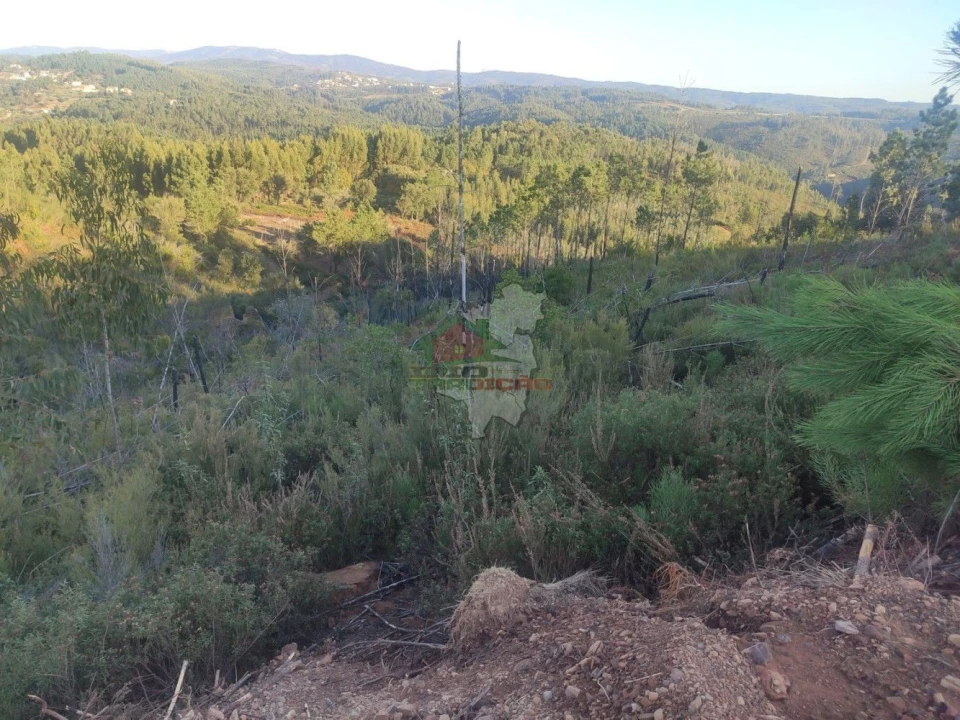 Terreno para Venda em Sertã Foto 6