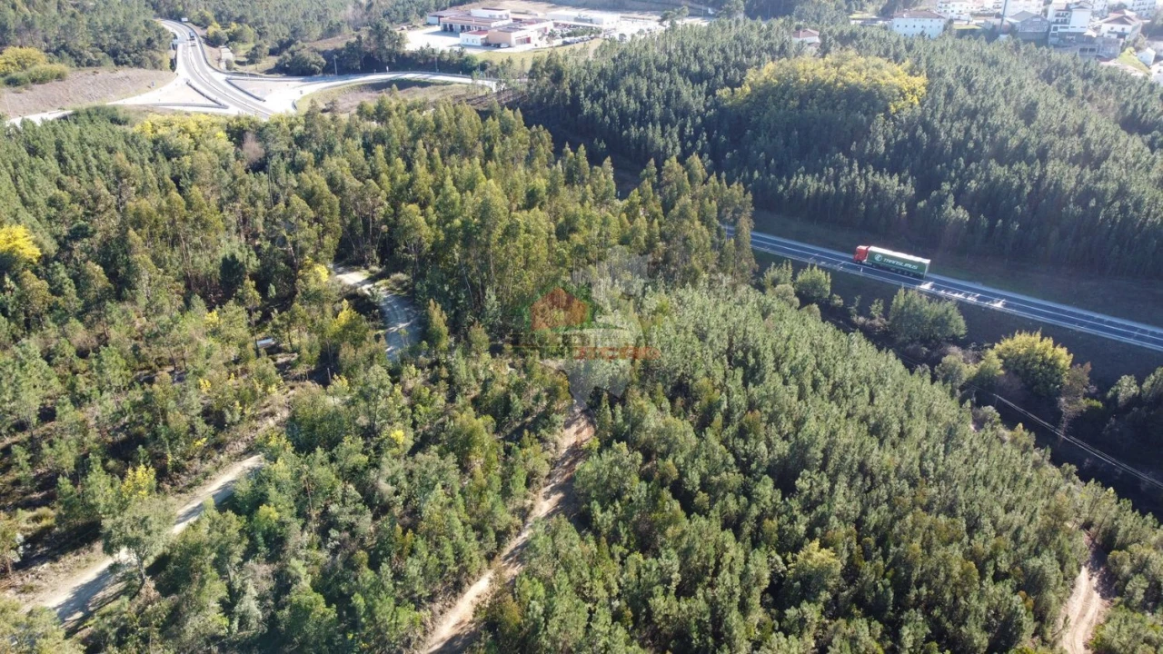 Terreno para Venda em Sertã Foto 15