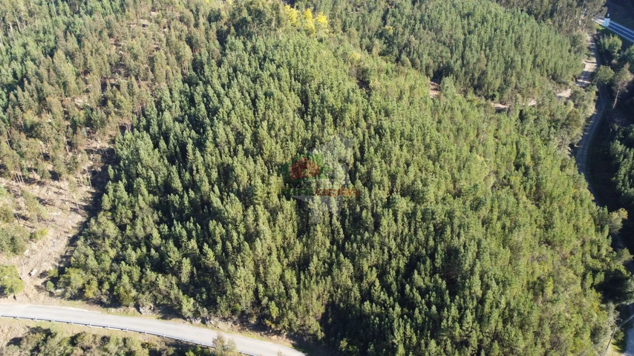 Terreno para Venda em Sertã Foto 7