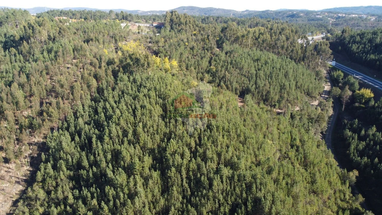 Terreno para Venda em Sertã Foto 5