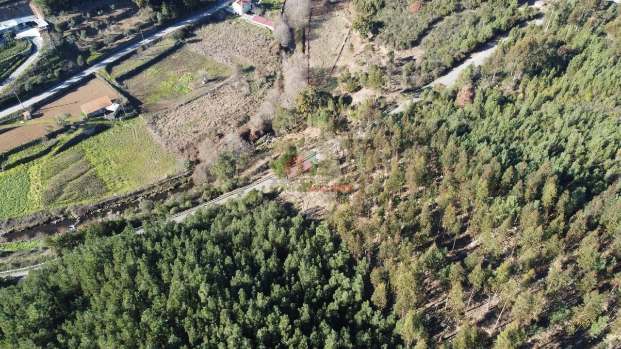 Terreno para Venda em Sertã Foto 11