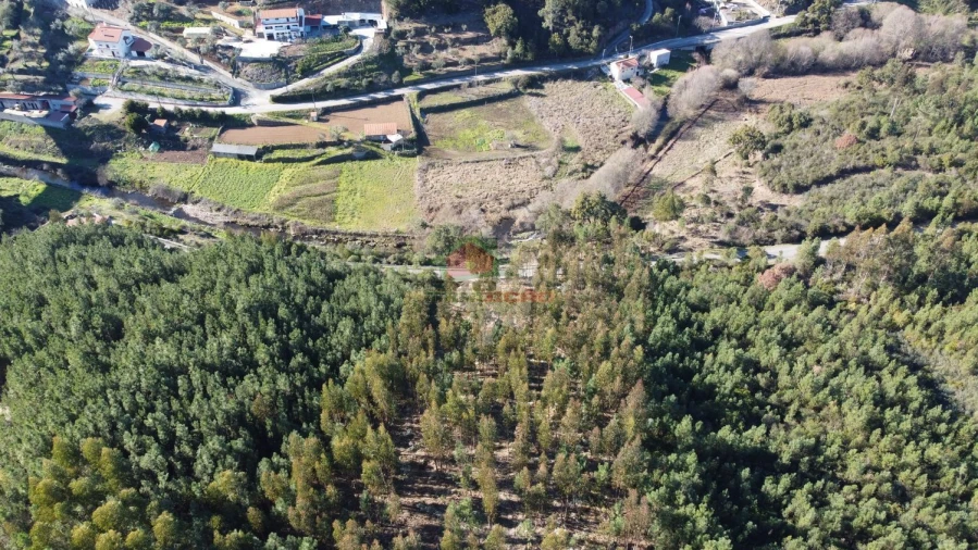 Terreno para Venda em Sertã Foto 12