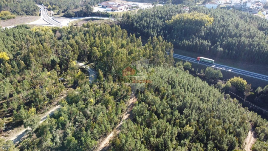 Terreno para Venda em Sertã Foto 15