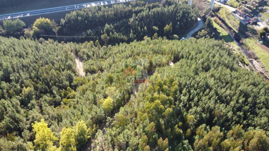 Terreno para Venda em Sertã Foto 16